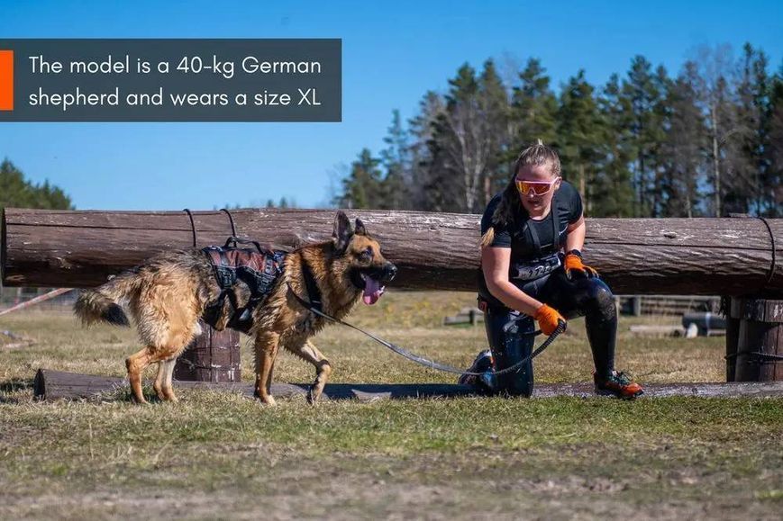 Подовжена шлейка для собак Rock harness long Non-stop dogwear Чорний/Помаранчевий S 40702 фото