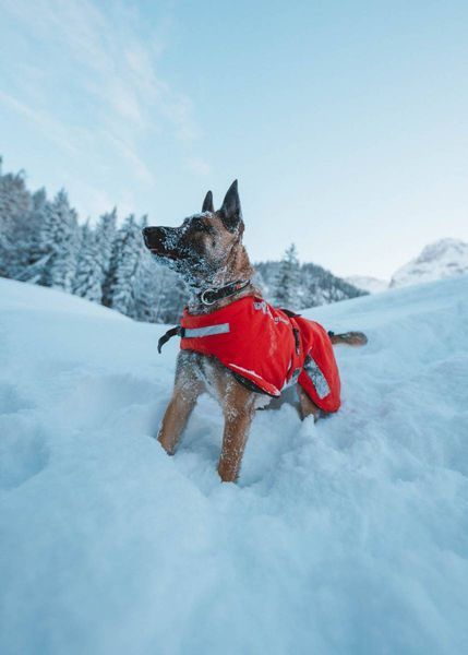 Куртка для собак Long distance Non-stop dogwear Червоний S 40880 фото