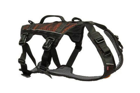 Удлиненная шлея для собак Rock harness long Non-stop dogwear Черный/Оранжевый M 40703 фото