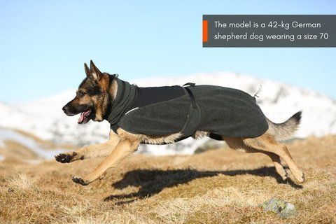 Шерстяная куртка для собак Wool dog jacket Non-stop dogwear Бежевый 70 41178 фото