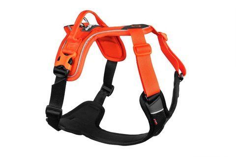 Шлейка для собак Ramble harness Non-stop dogwear Чорний/Помаранчевий XL 40589 фото