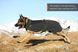 Вовняна куртка для собак Wool dog jacket Non-stop dogwear Бежевий 70 41178 фото 1