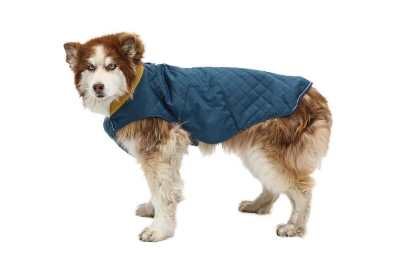 Пальто для собак Ruffwear Stumptown&trade; XS Синій 30480 фото