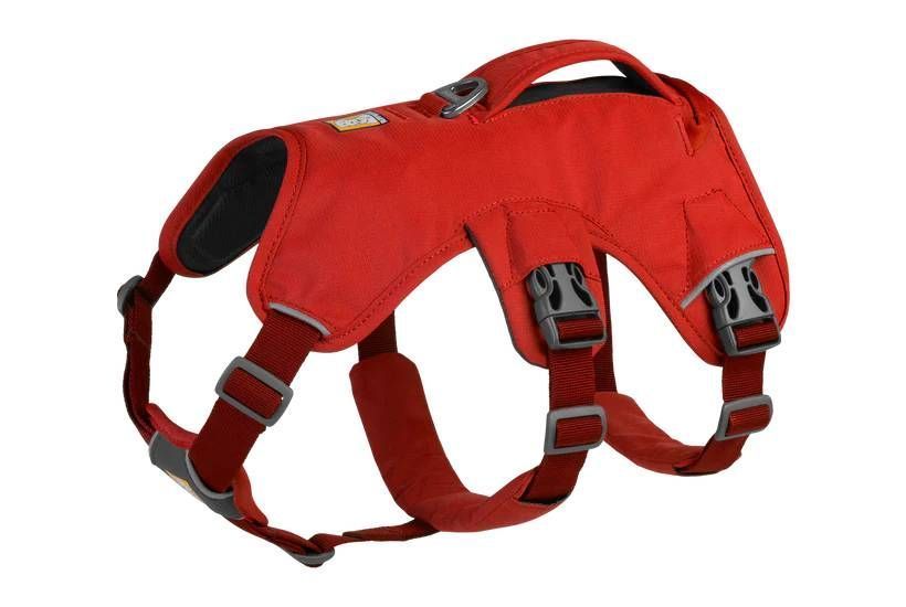 Поддерживающая шлейка для служебных собак Ruffwear Web Master&trade; L/XL 81-107 см Красный 30876 фото