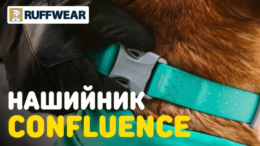 Водостійкий нашийник для собак Ruffwear Confluence&trade; 51-66 см Бірюзовий 30630 фото