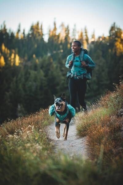 Шлейка-рюкзак для собаки Ruffwear Front Range&trade; XS Зеленый 30981 фото
