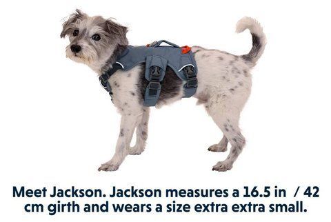 Поддерживающая шлейка для служебных собак Ruffwear Web Master&trade; XXS 33-43 см Синий 30877 фото
