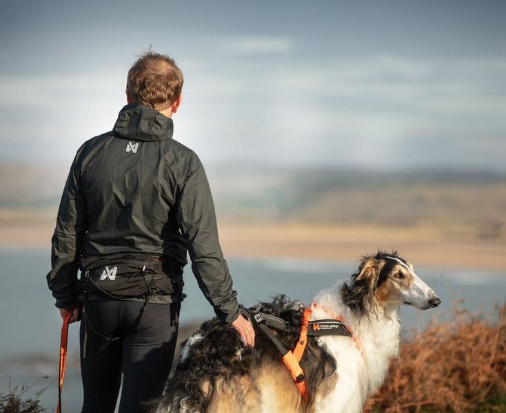 Пояс для прив'язі собак Trail light belt Non-stop dogwear Чорний M 40304 фото