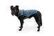 Пальто для собак Ruffwear Stumptown&trade; S Синий 30481 фото 6