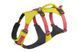 Легка шлейка для собак Ruffwear Flagline&trade; L/XL 81-107 см Жовтий 30760 фото 7