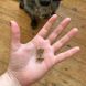 Гіпоалергенне печиво для собак Beco Pets Комаха з яблуком і насінням чіа 70 г 31371 фото 4