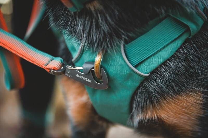 Шлейка-рюкзак для собаки Ruffwear Front Range&trade; XS Зеленый 30981 фото