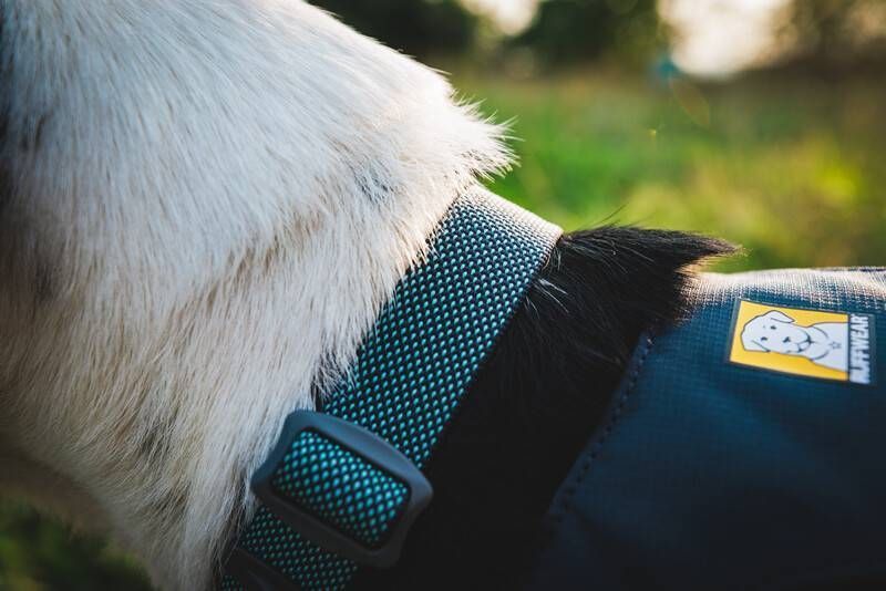 Облегченный ошейник для собак Ruffwear Hi & Light&trade; 51-66 см Серый 30681 фото