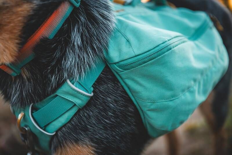 Шлейка-рюкзак для собаки Ruffwear Front Range&trade; XS Зеленый 30981 фото