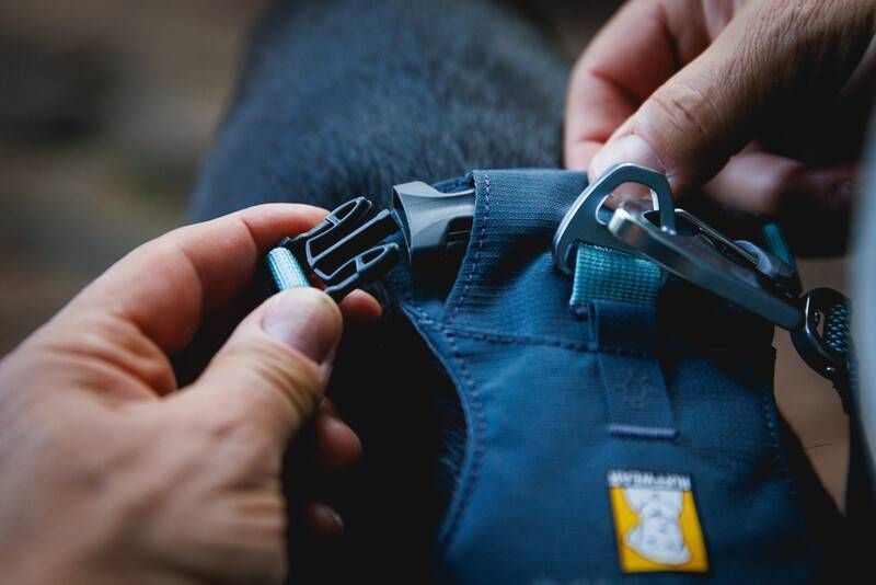 Полегшена шлейка для собак Ruffwear Hi & Light&trade; S 56-69 см Сірий 30815 фото