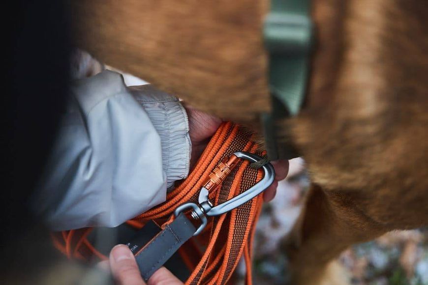 Повідець для собак Friction long line Non-stop dogwear Помаранчевий 10 м 41428 фото