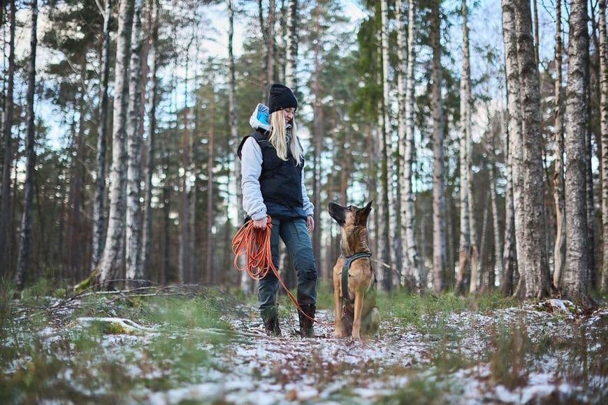 Повідець для собак Friction long line Non-stop dogwear Помаранчевий 10 м 41428 фото