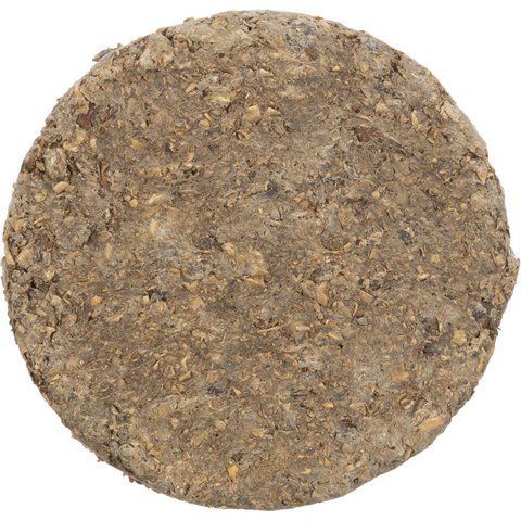 1111185788 фото
