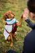 Флісова куртка для собак Trekking fleece jacket Non-stop dogwear Сірий/Винний/Бірюзовий 65 40821 фото 9