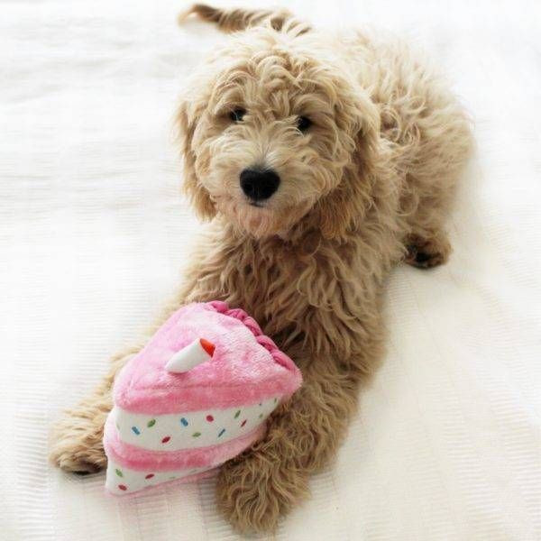 Мягкая игрушка для собак торт на День рождения ZippyPaws Birthday Cake Pink с пищалкой 28465 фото