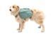 Шлейка-рюкзак для собак Ruffwear Front Range&trade; S Зелений 30982 фото 6
