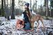 Повідець для собак Friction long line Non-stop dogwear Помаранчевий 15 м 41429 фото 3