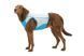 Охолоджуючий жилет для собак Ruffwear Swamp Cooler Zip&trade; XL Блакитний 41784 фото 4