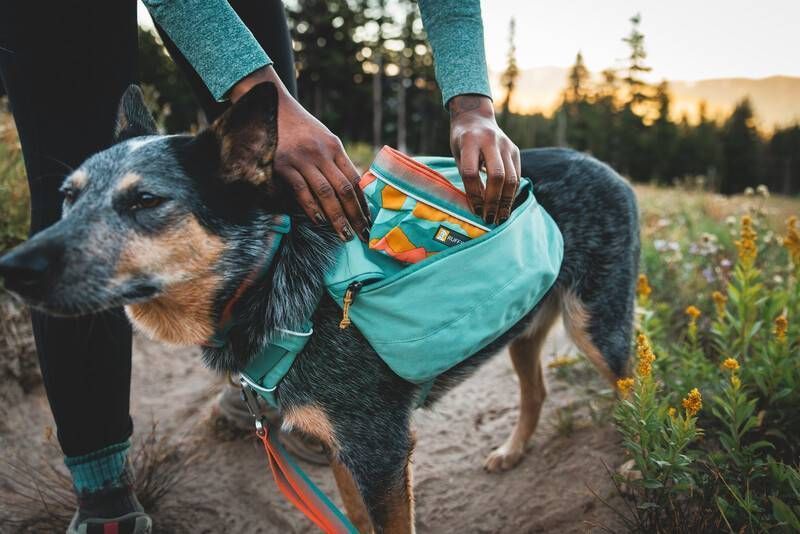 Шлейка-рюкзак для собак Ruffwear Front Range&trade; S Зелений 30982 фото