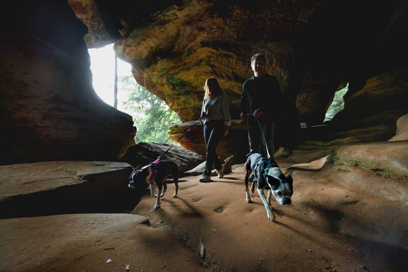 Полегшена шлейка для собак Ruffwear Hi & Light&trade; M 69-81 см Сірий 30816 фото