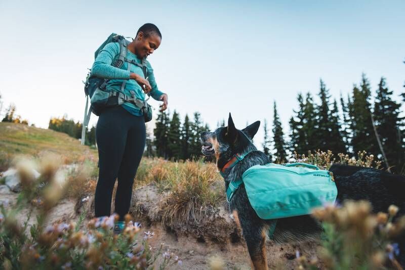 Шлейка-рюкзак для собак Ruffwear Front Range&trade; S Зелений 30982 фото