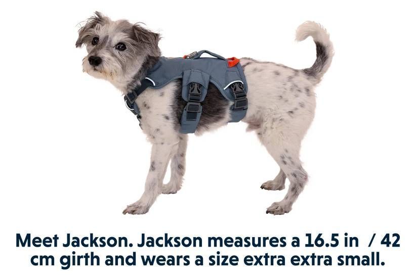 Підтримуюча шлейка для службових собак Ruffwear Web Master&trade; XS 43-56 см Синій 30878 фото