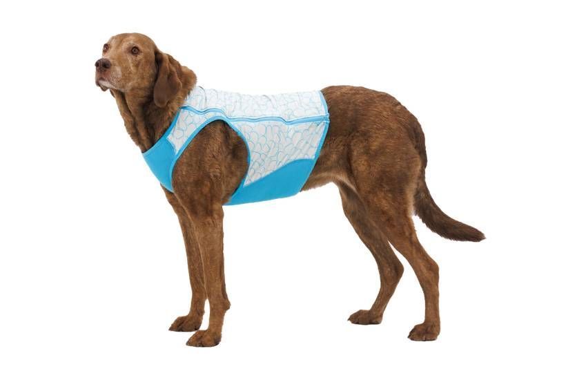Охолоджуючий жилет для собак Ruffwear Swamp Cooler Zip&trade; XL Блакитний 41784 фото