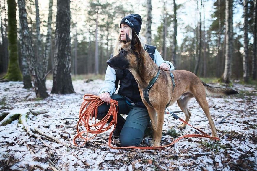 Повідець для собак Friction long line Non-stop dogwear Помаранчевий 15 м 41429 фото