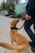 Повідець для собак Security leash Non-stop dogwear Чорний 41430 фото 2