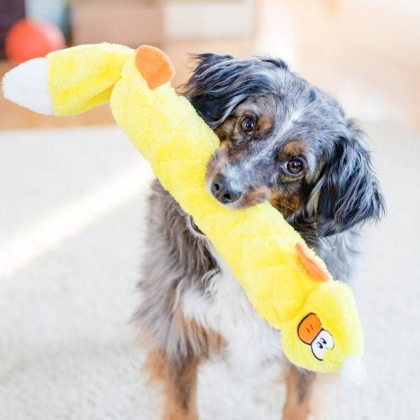 М'яка іграшка для собак качка ZippyPaws Jigglerz Duck з пищалкою 28490 фото