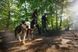 Полегшена шлейка для собак Ruffwear Hi & Light L/XL 81-107 см Сірий 30817 фото 11