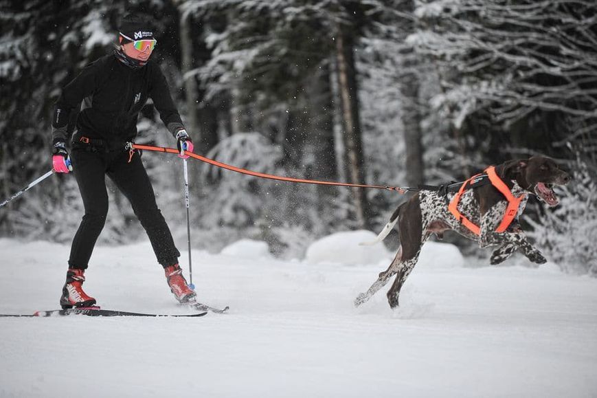 Пояс для привязи собак L&oslash;ype belt pro Non-stop dogwear Черный S 40306 фото