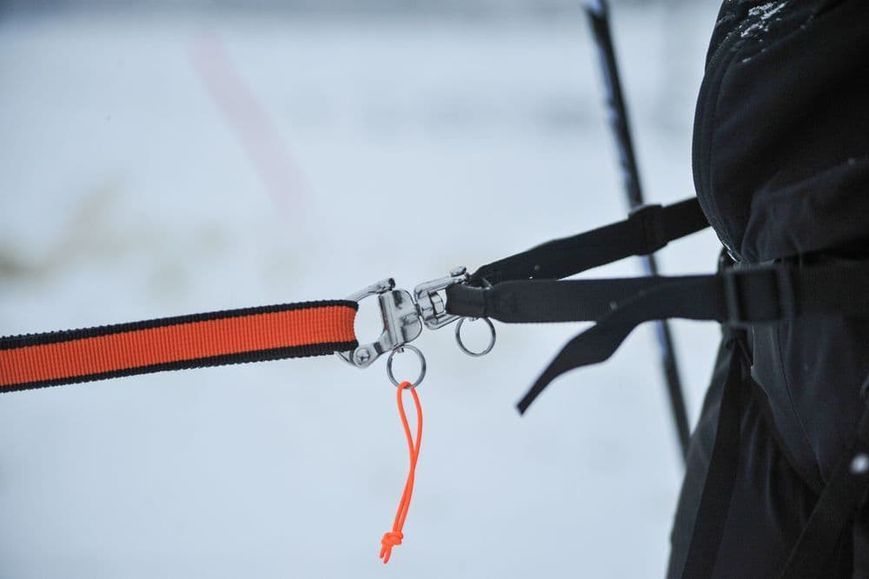 Пояс для привязи собак L&oslash;ype belt pro Non-stop dogwear Черный S 40306 фото