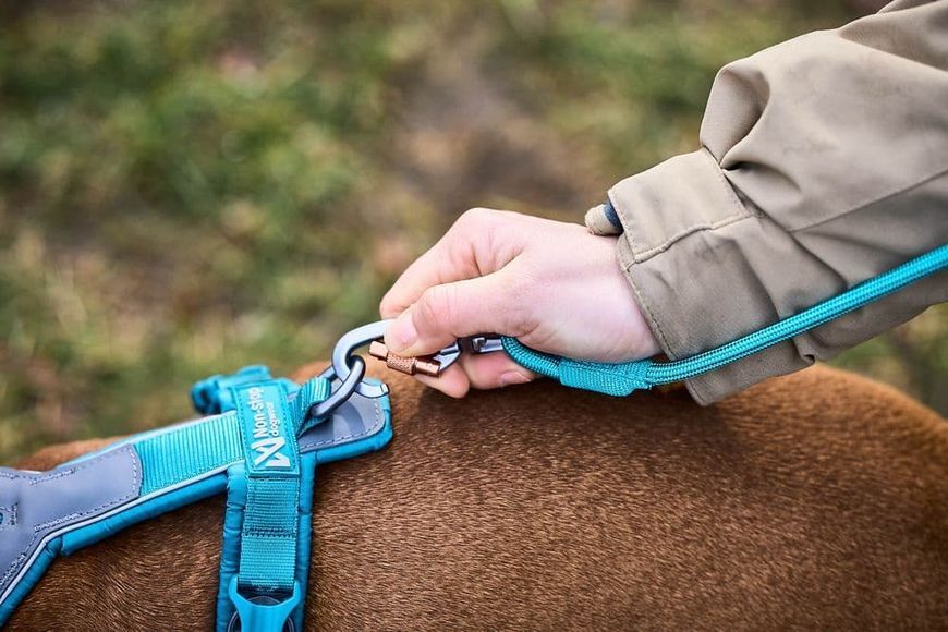 Повідець для собак Trekking rope leash Non-stop dogwear Бірюзовий 2,8 м/8 мм 41380 фото