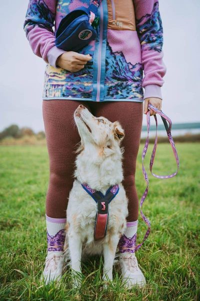 Поводок для собак Trail quest leash RP signature edition Non-stop dogwear Фиолетовый/Розовый 15 мм/2 м 41431 фото