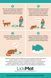 Лизальний килимок антистрес для кошенят LickiMat Kitty Pink 30359 фото 5