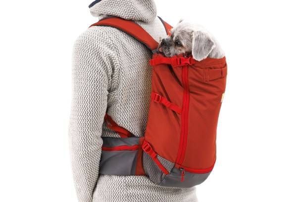 Рюкзак для переноски собак Ruffwear Hitch Hiker&trade; Красный XXS 41999 фото