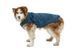 Пальто для собак Ruffwear Stumptown&trade; XL Синий 30484 фото 11