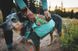 Шлейка-рюкзак для собаки Ruffwear Front Range&trade; L/XL Зеленый 30984 фото 14