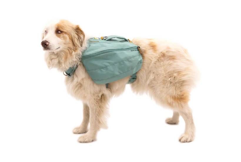 Шлейка-рюкзак для собаки Ruffwear Front Range&trade; L/XL Зеленый 30984 фото