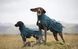 Дождевик для собак Non-stop dogwear Fjord lined Зеленый 60 41330 фото 2