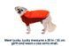 Зимова куртка для собак Ruffwear Powder Hound&trade; M Помаранчевий 30458 фото 3