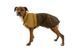 Дождевик для собак Ruffwear Sun Shower&trade; XL Коричневый 41760 фото 3