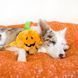 Мягкая игрушка для собак хеллоуин тыква ZippyPaws Brainey Pumpkin с пищалкой 28503 фото 3
