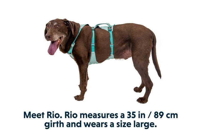 Легка шлейка для собак Ruffwear Flagline&trade; M 69-81 см Зелений 30764 фото